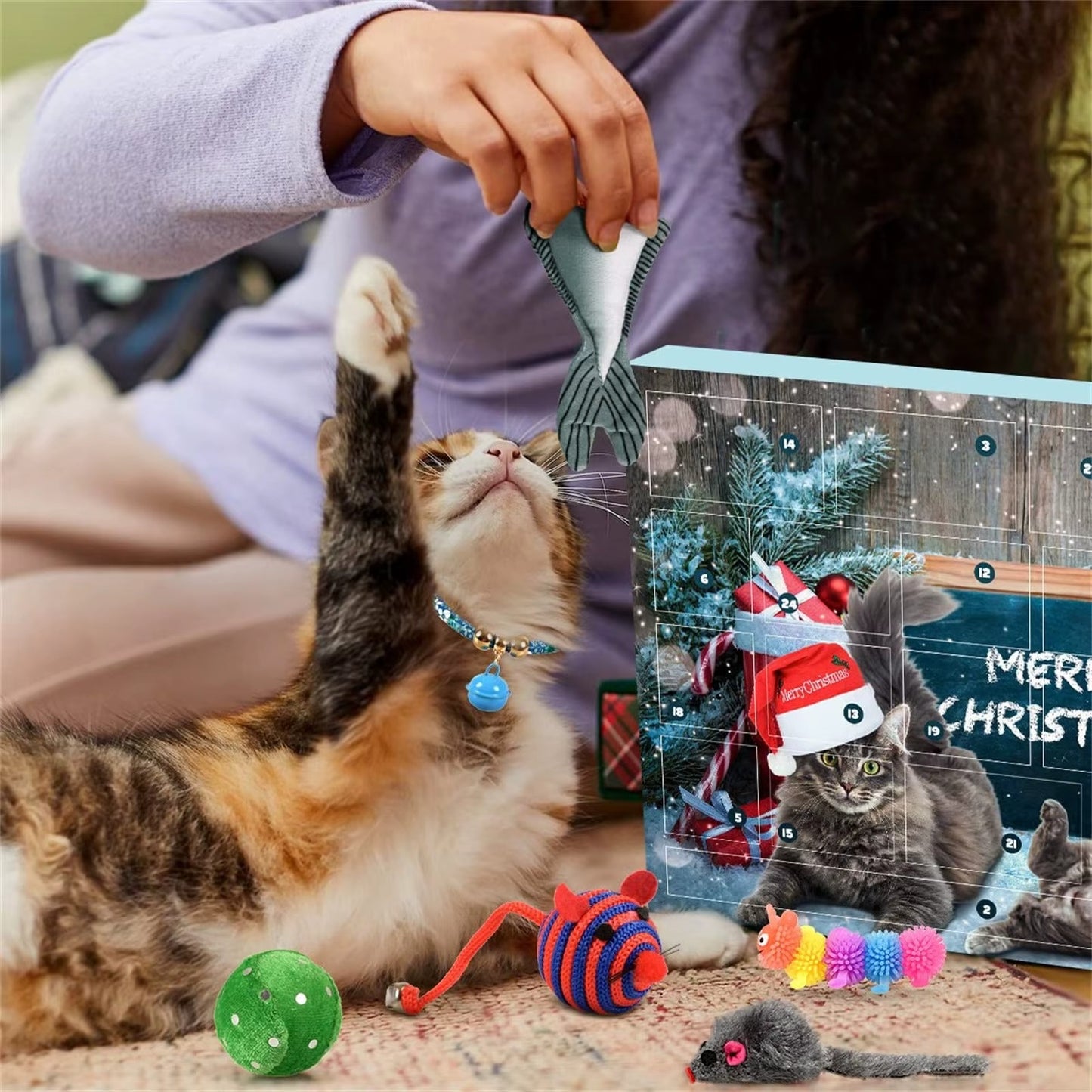 Calendario de Adviento para Gatos — 24 Sorpresas Navideñas 🐱🎄